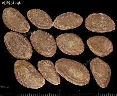 关于@0栝羴嵫鈦5炼??L?剾瑖櫇5]X男M涯魱袐?癐>8j炷XvHOq-开云官网